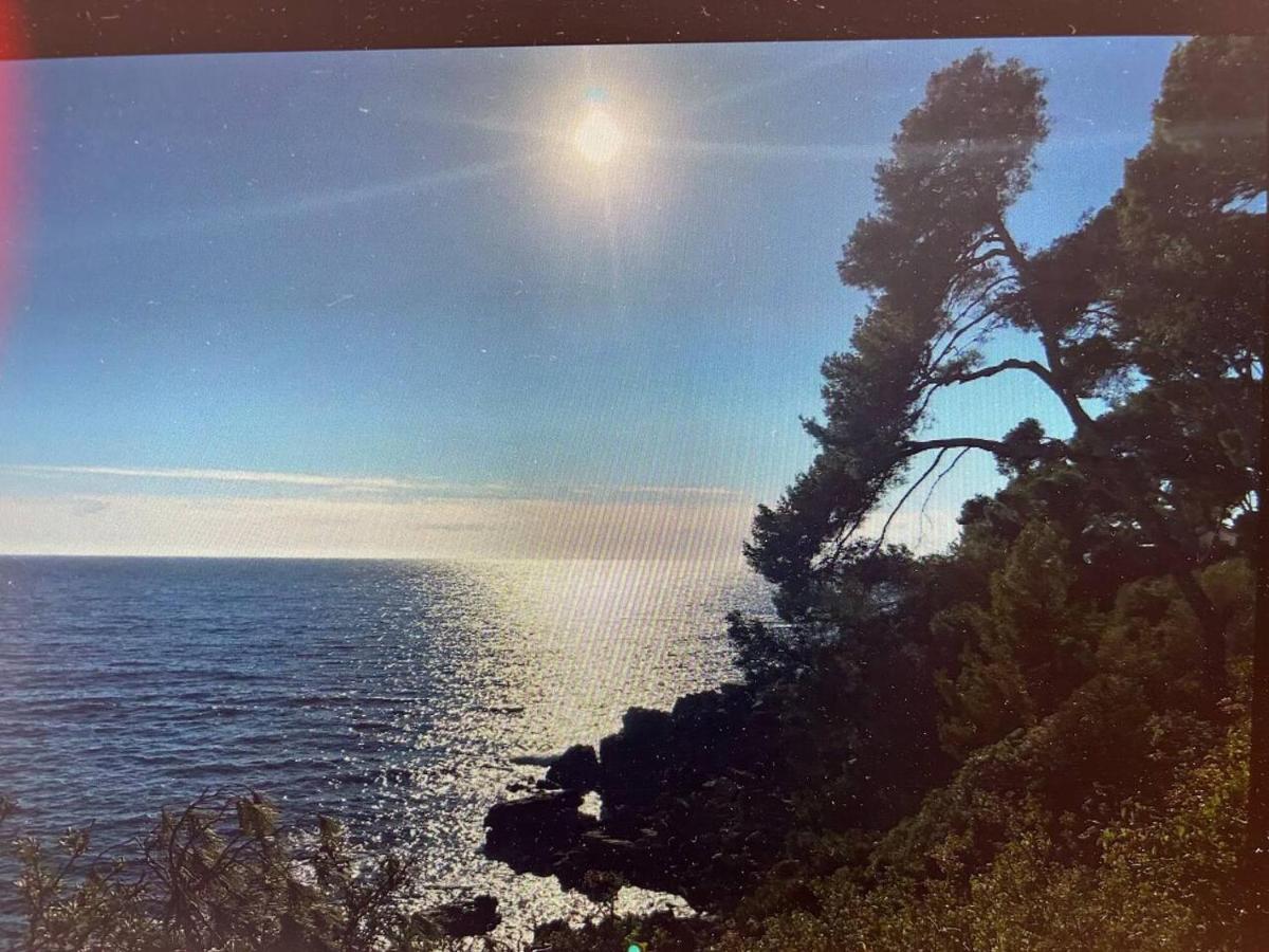 Pin Rollan Beach サン・マンドリエ・シュル・メール エクステリア 写真